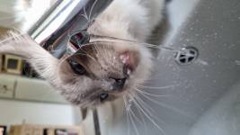 Christine LE GUYADEC - Christine LE GUYADEC